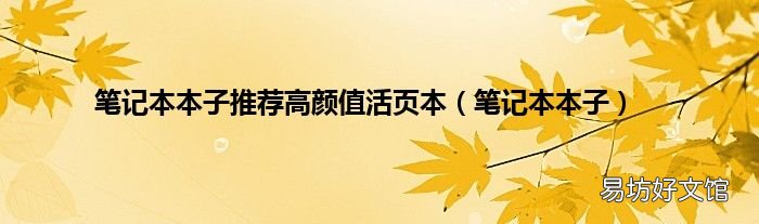 笔记本本子 笔记本本子推荐高颜值活页本