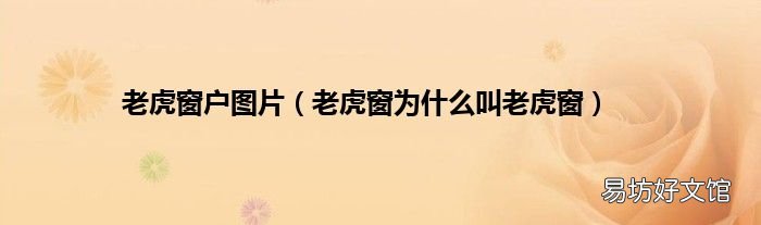 老虎窗为什么叫老虎窗 老虎窗户图片