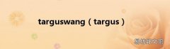 targus targuswang