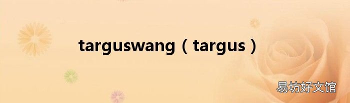targus targuswang