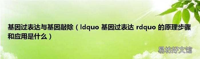 ldquo 基因过表达 rdquo 的原理步骤和应用是什么 基因过表达与基因敲除
