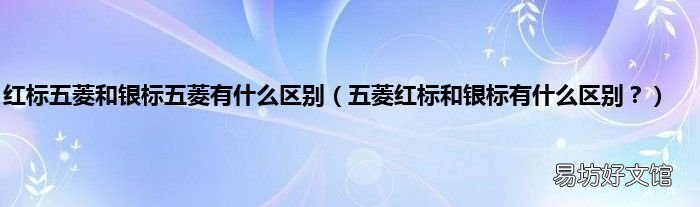 五菱红标和银标有什么区别? 红标五菱和银标五菱有什么区别