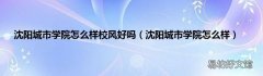 沈阳城市学院怎么样 沈阳城市学院怎么样校风好吗