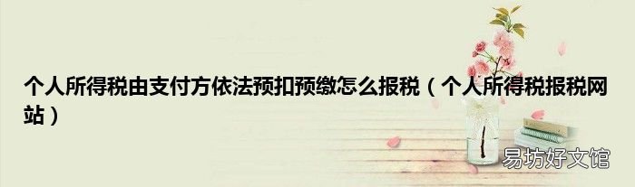 个人所得税报税网站 个人所得税由支付方依法预扣预缴怎么报税