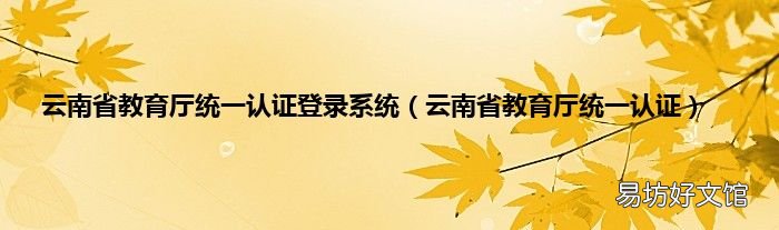 云南省教育厅统一认证 云南省教育厅统一认证登录系统