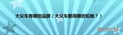 大众车都用哪些轮胎？ 大众车有哪些品牌