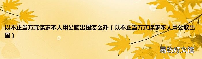 以不正当方式谋求本人用公款出国 以不正当方式谋求本人用公款出国怎么办