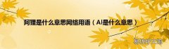 Al是什么意思 阿狸是什么意思网络用语
