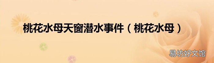 桃花水母 桃花水母天窗潜水事件