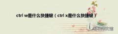ctrl x是什么快捷键 ctrl w是什么快捷键