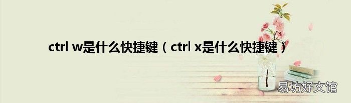 ctrl x是什么快捷键 ctrl w是什么快捷键