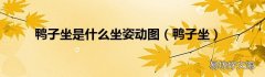 鸭子坐 鸭子坐是什么坐姿动图