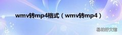 wmv转mp4 wmv转mp4格式