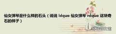 说说 ldquo 仙女弹琴 rdquo 这块奇石的样子 仙女弹琴是什么样的石头
