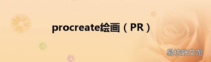 PR procreate绘画