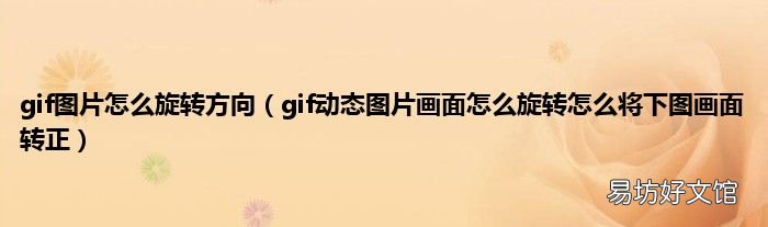 gif动态图片画面怎么旋转怎么将下图画面转正 gif图片怎么旋转方向