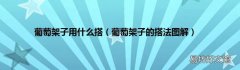葡萄架子的搭法图解 葡萄架子用什么搭