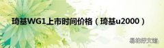 琦基u2000 琦基WG1上市时间价格