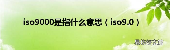iso9.0 iso9000是指什么意思