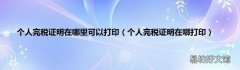 个人完税证明在哪打印 个人完税证明在哪里可以打印