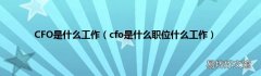 cfo是什么职位什么工作 CFO是什么工作