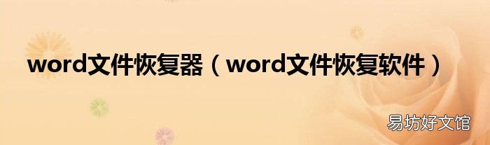 word文件恢复软件 word文件恢复器