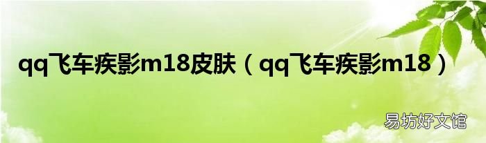 qq飞车疾影m18 qq飞车疾影m18皮肤