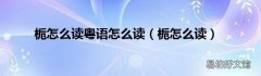 栀怎么读 栀怎么读粤语怎么读