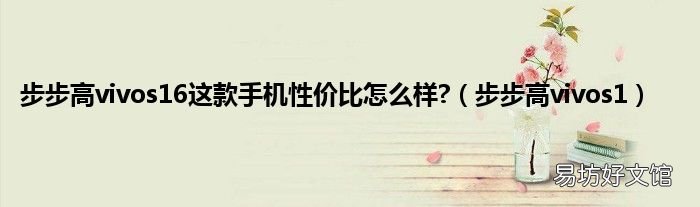 步步高vivos1 步步高vivos16这款手机性价比怎么样?