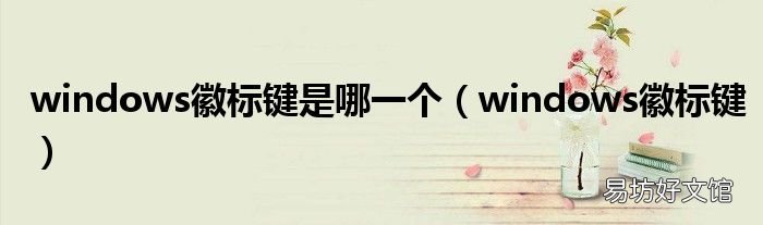 windows徽标键 windows徽标键是哪一个