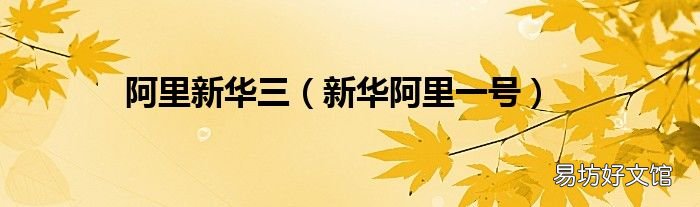 新华阿里一号 阿里新华三