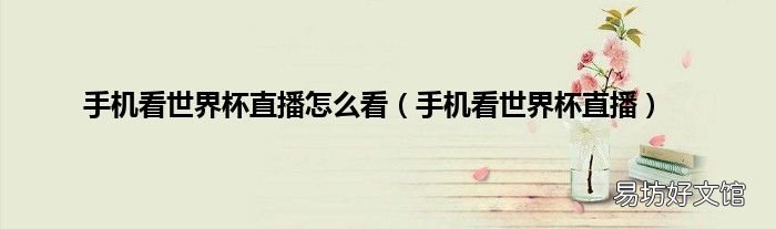 手机看世界杯直播 手机看世界杯直播怎么看