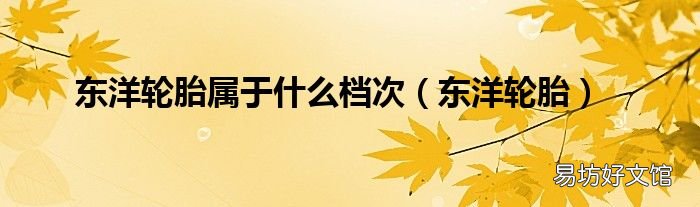 东洋轮胎 东洋轮胎属于什么档次