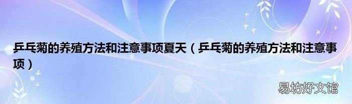 乒乓菊的养殖方法和注意事项 乒乓菊的养殖方法和注意事项夏天