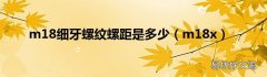 m18x m18细牙螺纹螺距是多少