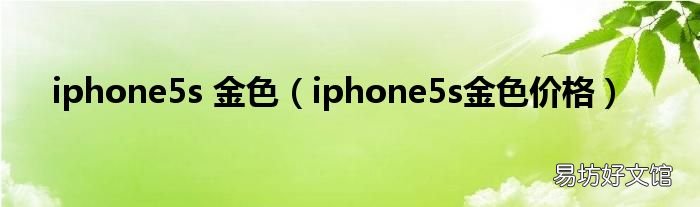 iphone5s金色价格 iphone5s 金色