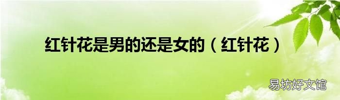 红针花 红针花是男的还是女的