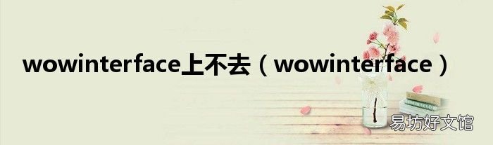 wowinterface wowinterface上不去