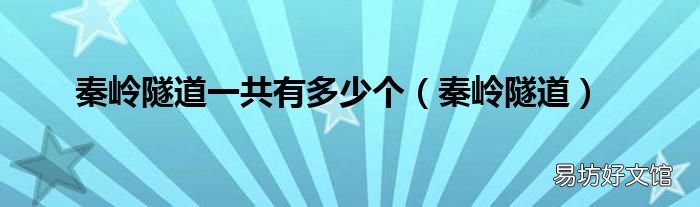 秦岭隧道 秦岭隧道一共有多少个