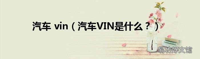 汽车VIN是什么? 汽车 vin