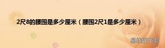 腰围2尺1是多少厘米 2尺8的腰围是多少厘米