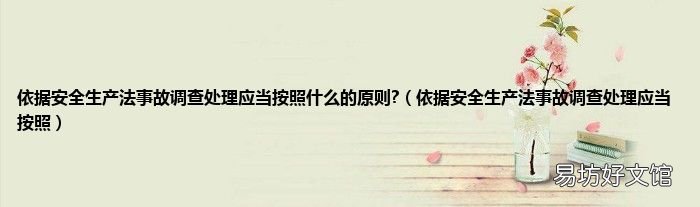 依据安全生产法事故调查处理应当按照 依据安全生产法事故调查处理应当按照什么的原则?