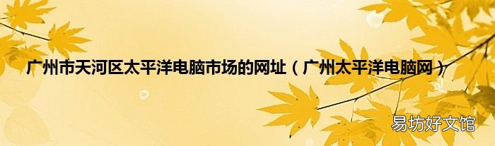 广州太平洋电脑网 广州市天河区太平洋电脑市场的网址