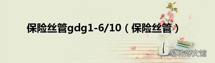 保险丝管 保险丝管gdg1-6/10