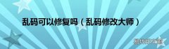 乱码修改大师 乱码可以修复吗