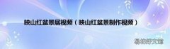 映山红盆景制作视频 映山红盆景展视频