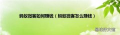 蚂蚁微客怎么赚钱 蚂蚁微客如何赚钱