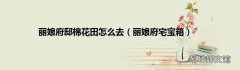 丽娘府宅宝箱 丽娘府邸棉花田怎么去