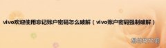 vivo账户密码强制破解 vivo欢迎使用忘记账户密码怎么破解