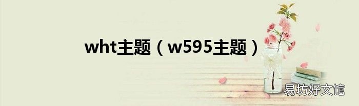 w595主题 wht主题